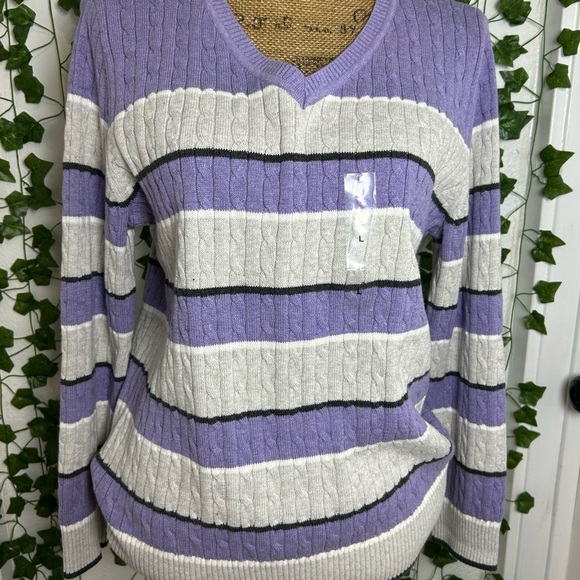 Karen Scott Purple and Gray V-Neck Sweater - Picture 1 of 3